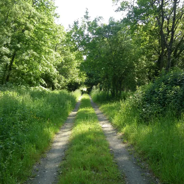 circuit-boucle-pedestre-vigners-en-villages-la-haye-fouassiere-44-ITI  (2)