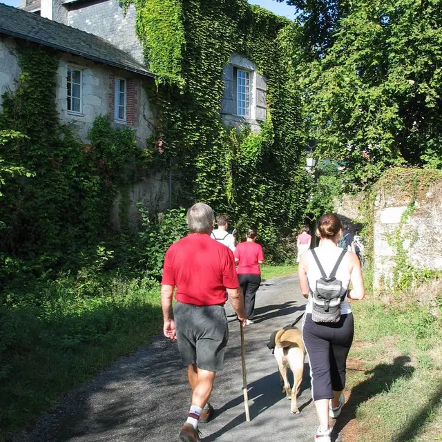 circuit-boucle-pedestre-moulins-monnieres-44-ITI  (2)