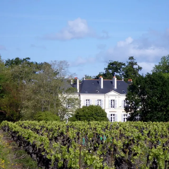 circuit-chateau-hte-goulaine-levignoblenantes-tourisme (1)