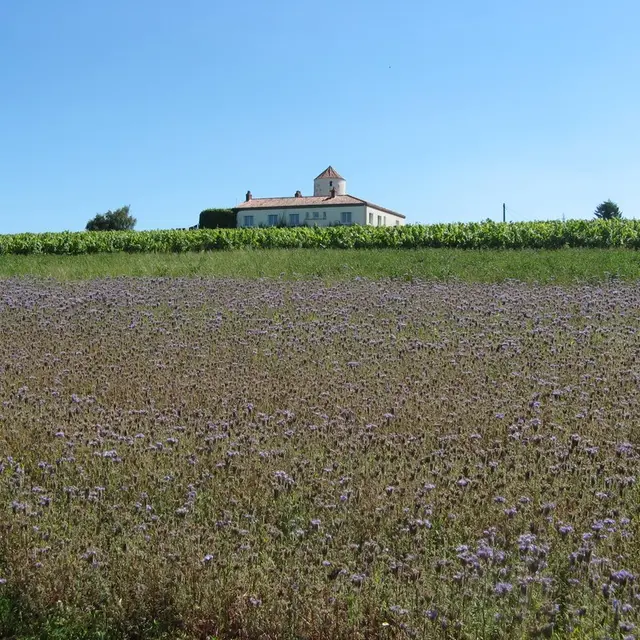 circuit-coteaux-vallet-levignoblenantes-tourisme (1)