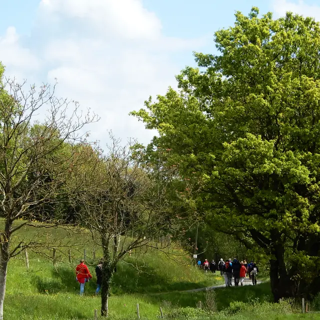 circuit-de-laumarin-1