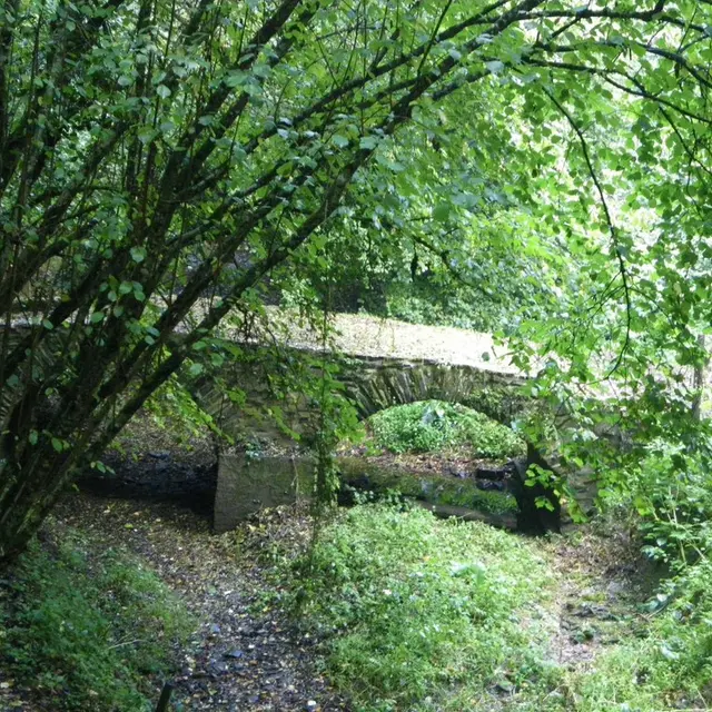 circuit-gabelous-la-regrippiere-levignobledenantes-tourisme(5) [1024x768]