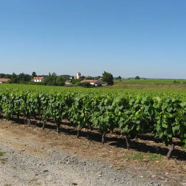 circuit-galloromain-mouzillon-levignobledenantes-tourisme(2)