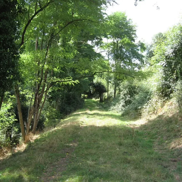 circuit-htedivatte-laremaudiere-levignoblenantes-tourisme (1)