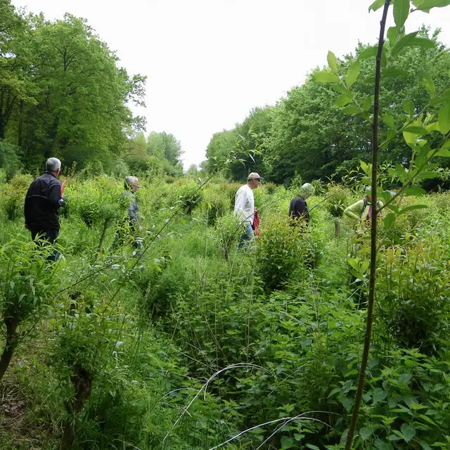 circuit-robiniere-laremaudiere-levignoblenantes-tourisme (1)