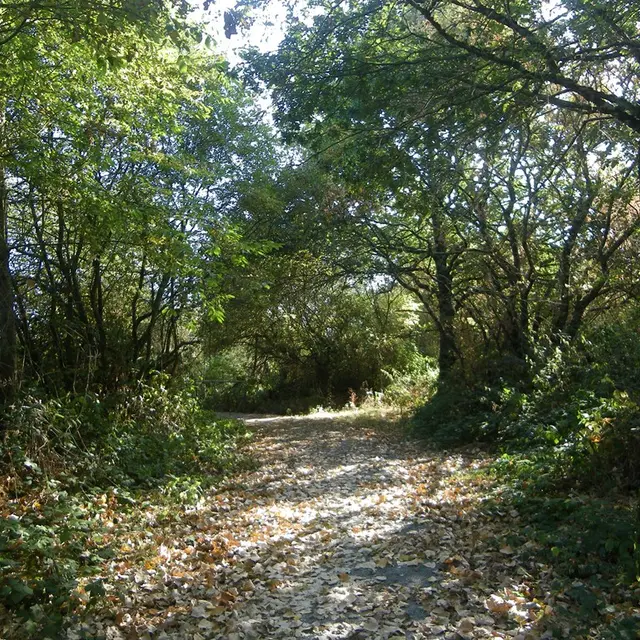 circuit-terres-vignes-st-lumine-clisson-levignoblenantes-touris (6)