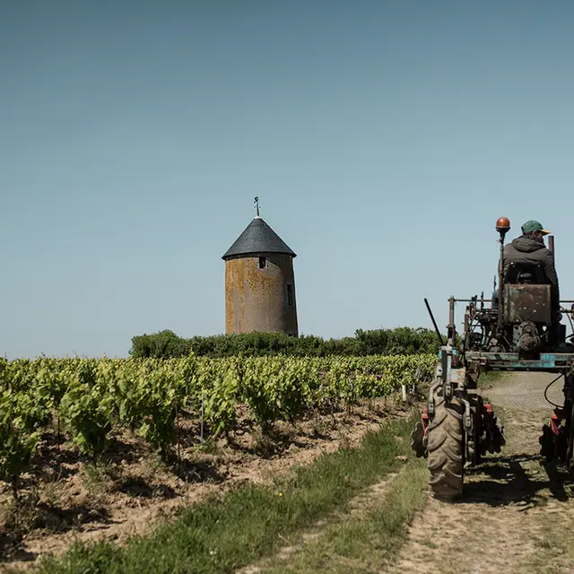 domaine-menard-gaborit