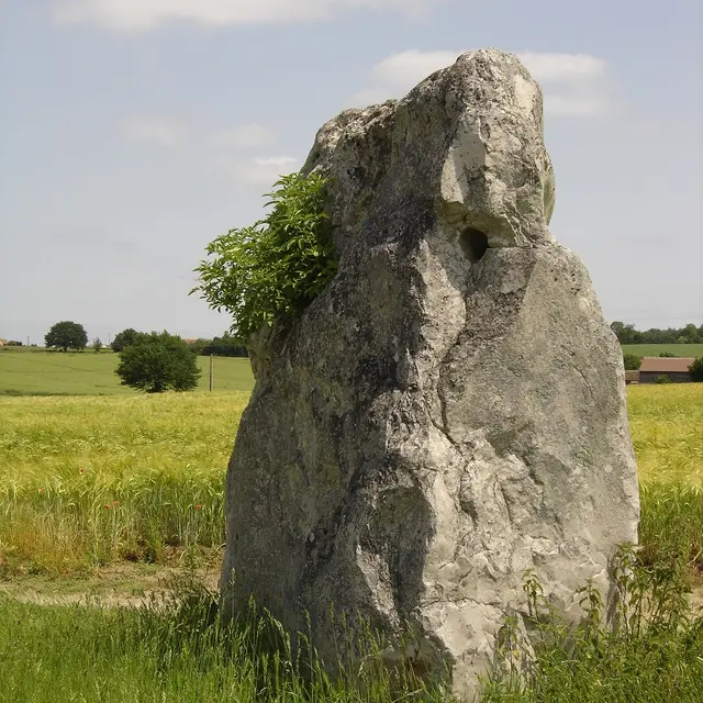 duneau-menhir-2