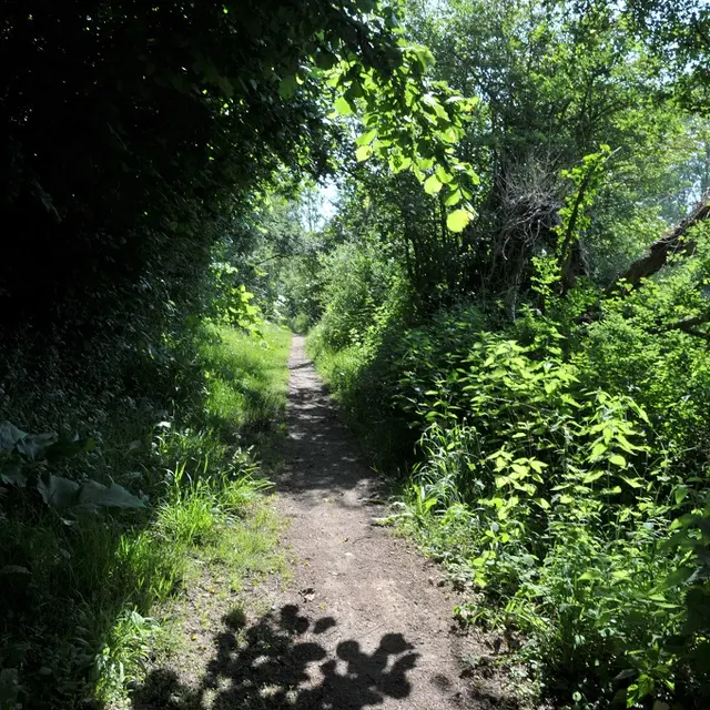 bena-balades-en-nature-accompagnée-sevremoine