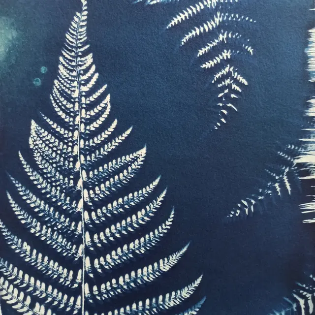 exposition maison bleue 2024 haute goulaine sophie Voillet