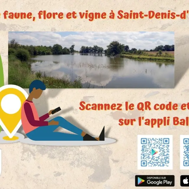 faune-flore-vigne-SDA-paysage