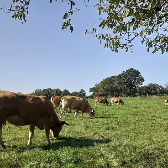 ferme de la Seurrie