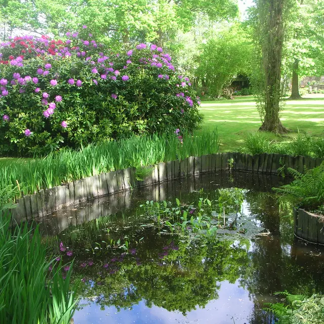 jardin moisonnais 2