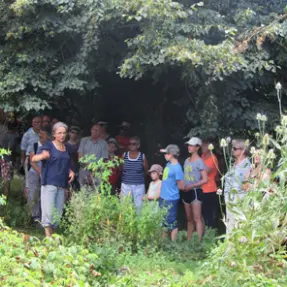 jardin médicinale et ferme l'ermitage