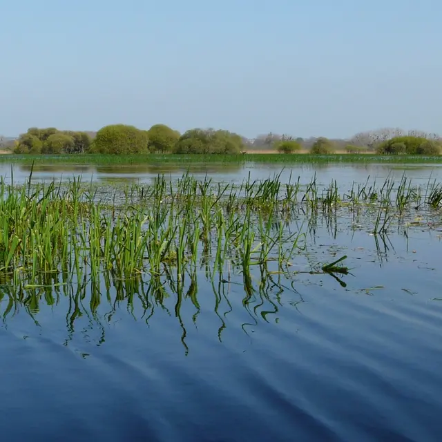 la maison bleue-haute-goulaine-44-PCU-1