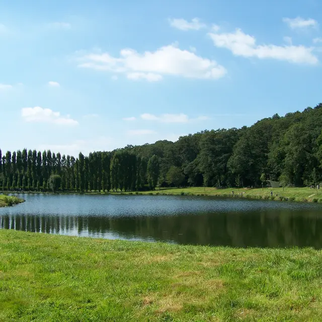 Étang Saint-Georges-le-Gaultier