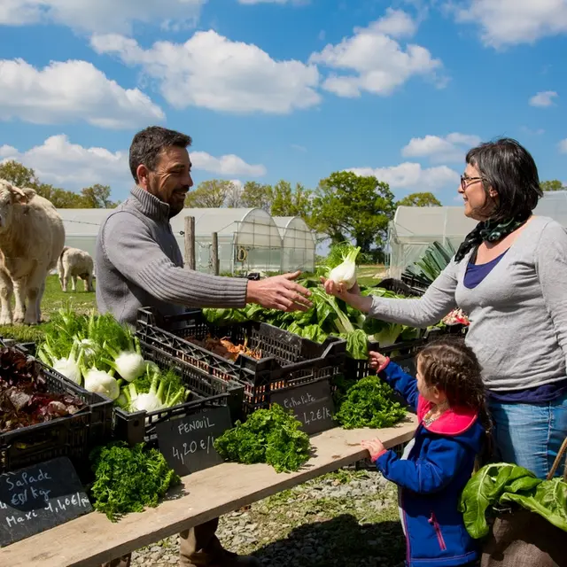 le potager de Gaël
