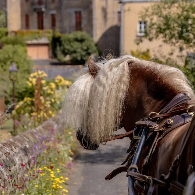 balade en calèche à Lassay les Châteaux