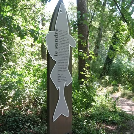 murmures-rochers-peche-ligne-levignobledenantes-tourisme (17)