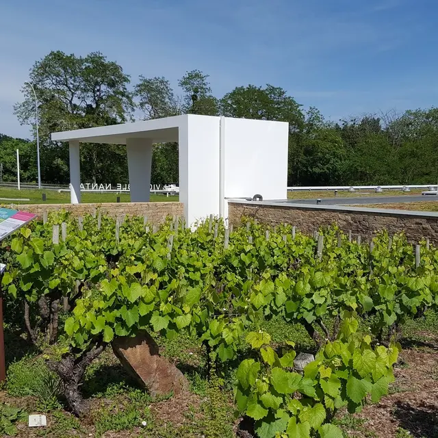 musee du vignoble