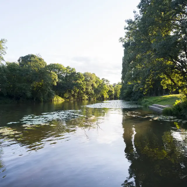 pe-vignard2-le-pallet-44-PNA