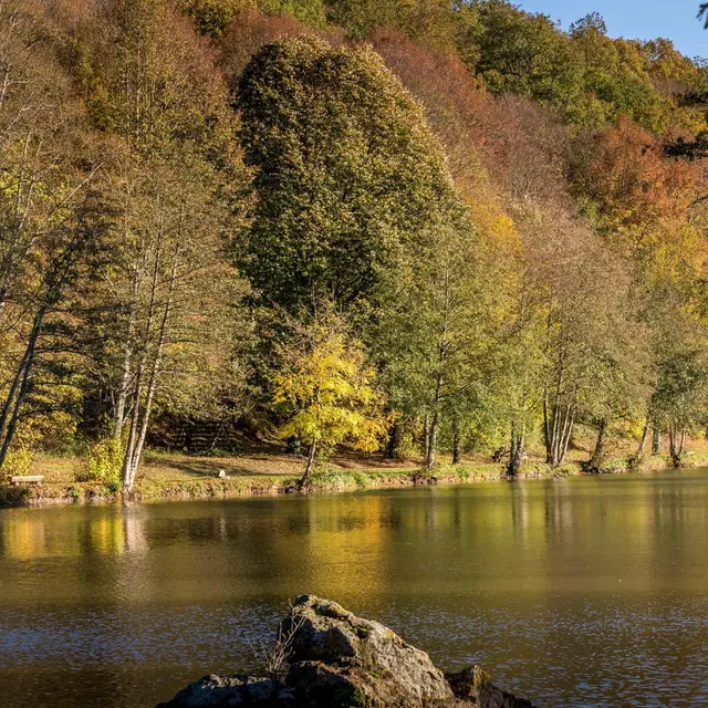 Etang de Courtanvaux