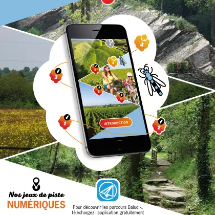 Parcours baludik divatte sur loire