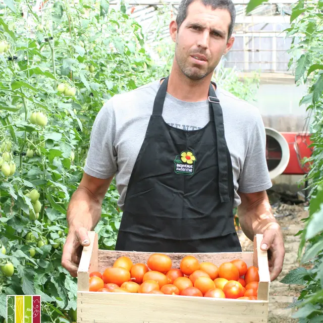 producteur maraicher horticulteur légumes fleurs 53 Mayenne vente directe - Brice MARSOLLIER