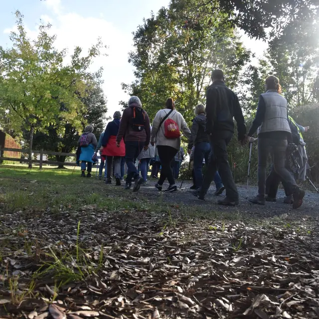 randochataignehautegoulaine-2024-levignobledenantes-tourisme