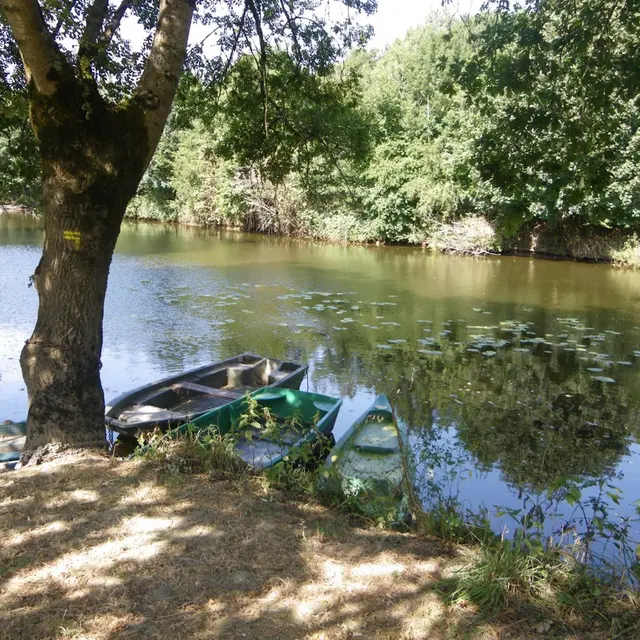 reuzard-vallee-maine-aigrefeuille-sur-maine-44- (1)