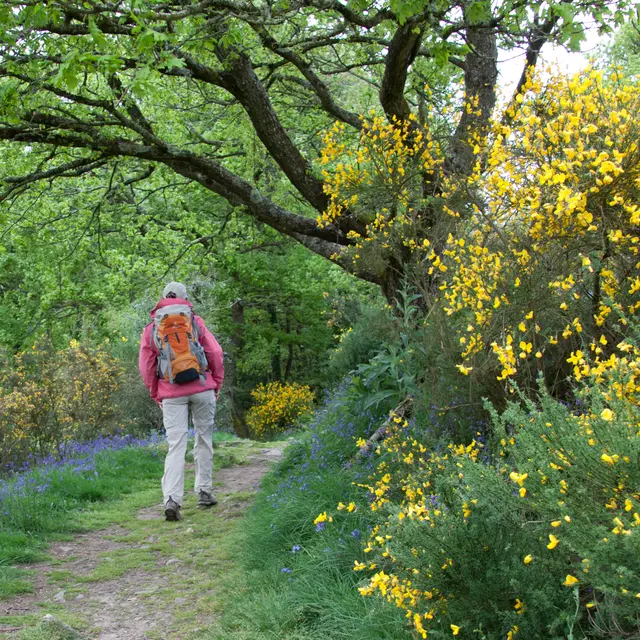 Randonneuse à Saint-Léonard-des-Bois