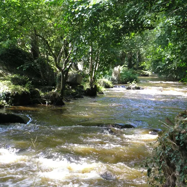 sentier-du-saut-au-loup-brece-53-iti-4