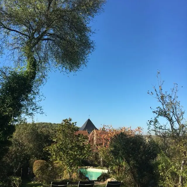 Vue