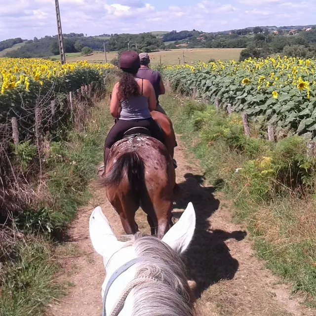 rando ferme de caffoulens