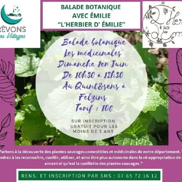 Balade Botanique avec Emilie à Felzins