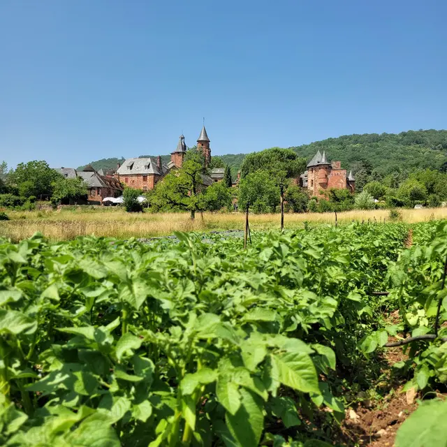 Le Maraîcher