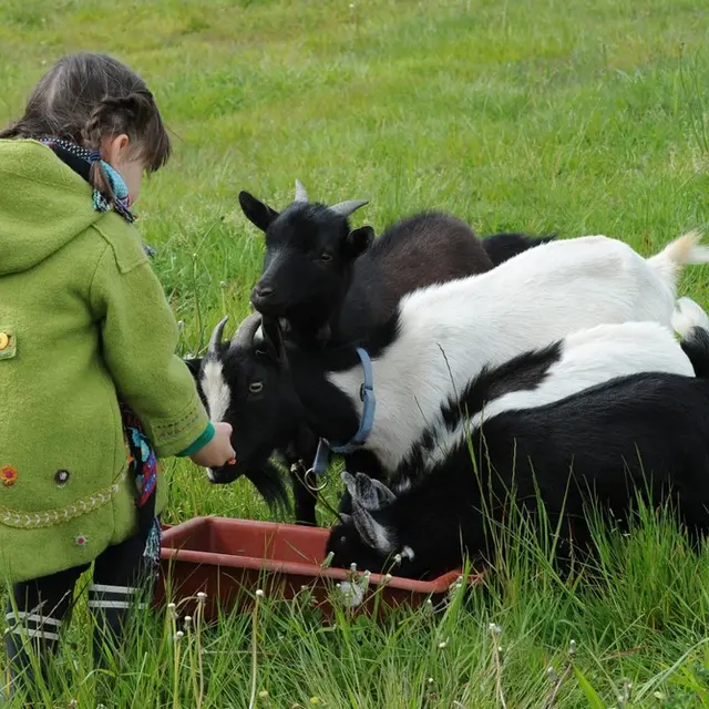 Ferme de Brossard - Ferme Pédagogique_enfantsEtAnimaux