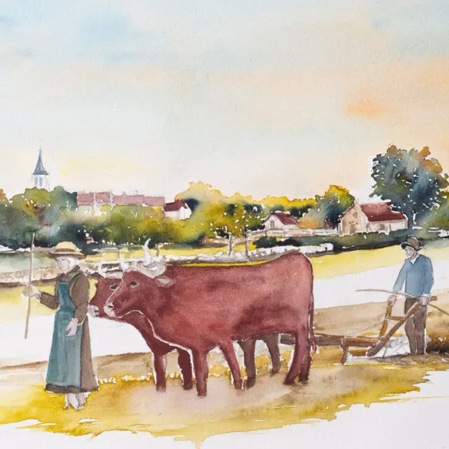 Aquarelle du film réalisée par Isabelle Destruel. © »Paysans du Ségala – de 1900