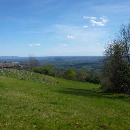 Paysage Collonges