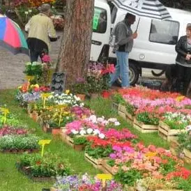 foire livernon