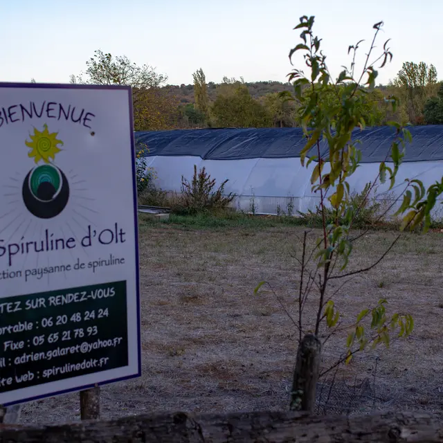Spiruline d'Olt