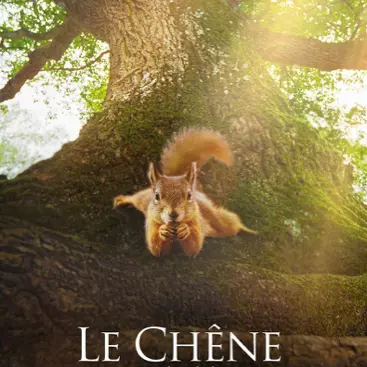 © Caméra One Télévision, Winds, Gaumont affiche film