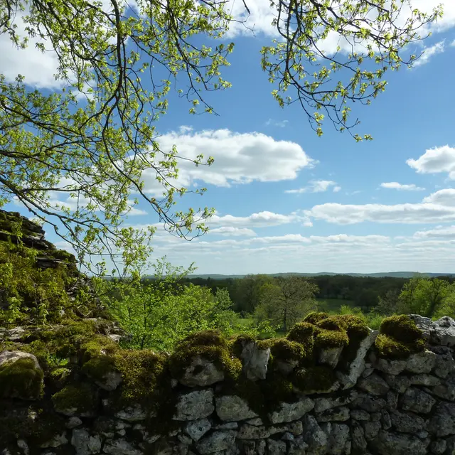 Assier - Muret de Pierres_09 © Lot Tourisme - C. Sanchez