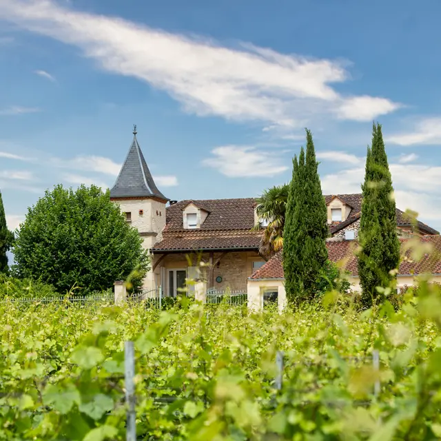 Château Haut-Monplaisir