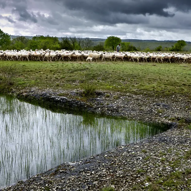 _DS33215-© Nelly Blaya