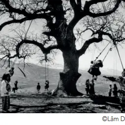 ©Lâm Duc Hiên