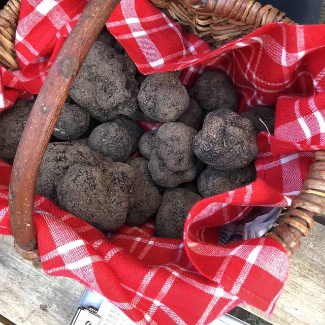 Truffes Noires de Montcuq