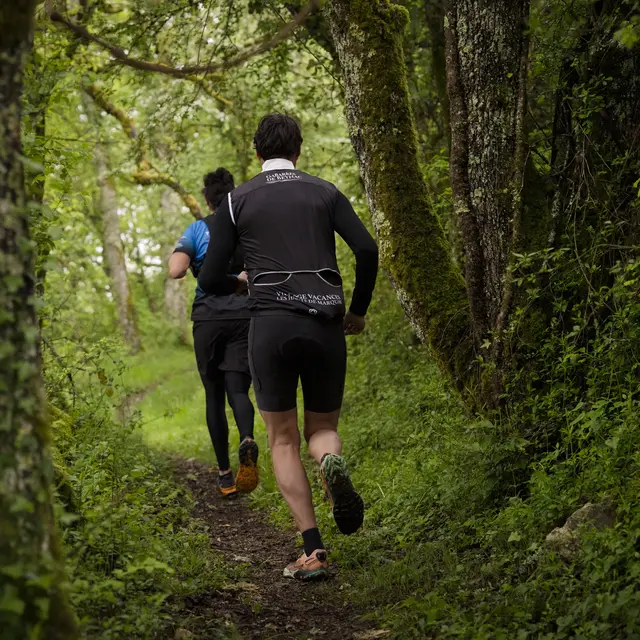 Trail