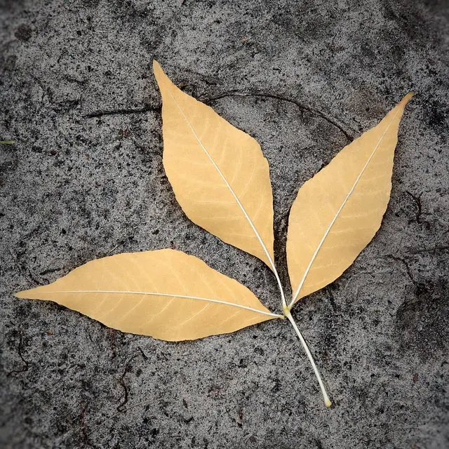 Land Art