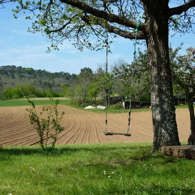 Les Picade - Balançoire devant le champs © Lot Tourisme - C. Sanchez